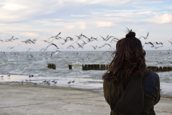 海に飛ぶカモメを寂しく見つめる女性の後ろ姿の画像