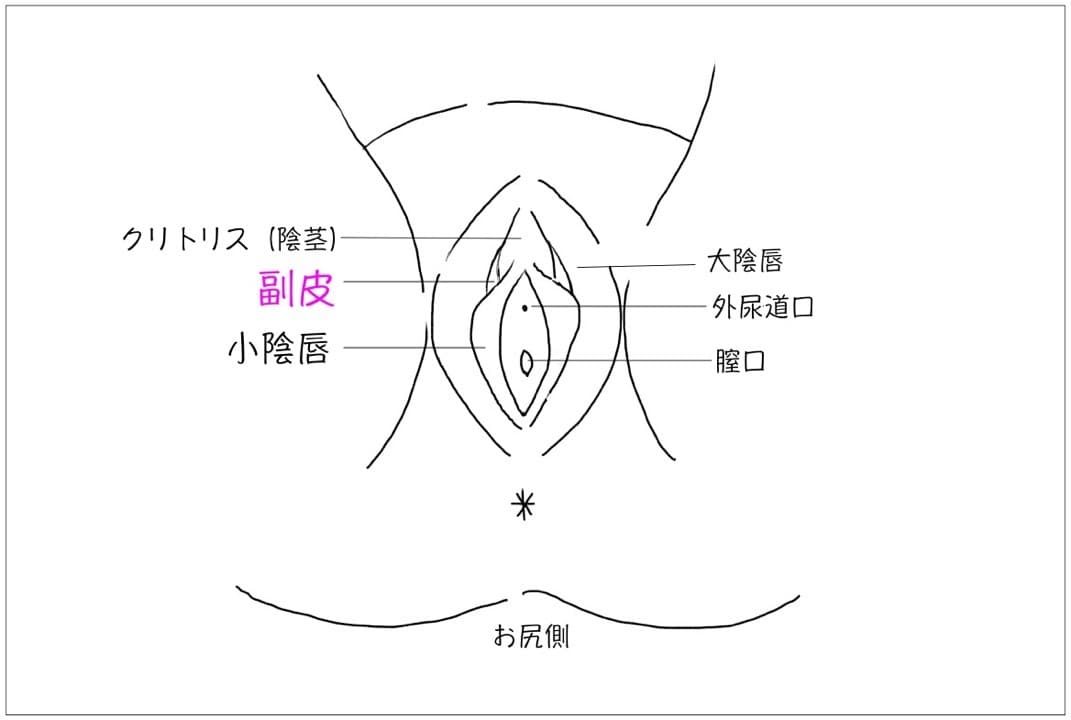 湘南美容外科の小陰唇手術のサンプル画像