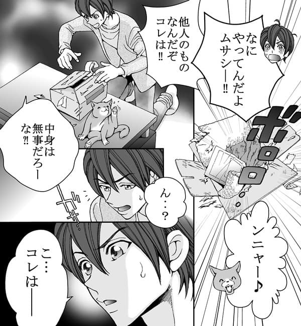 恋猫カウントダウン