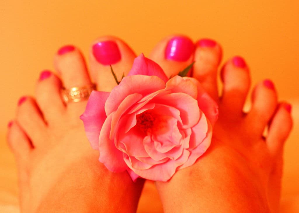 Woman's Feet Holding Pink Rose Fresh Pedicure By Pink Sherbet Photography