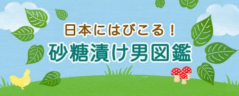 日本にはびこる　砂糖漬け男図鑑