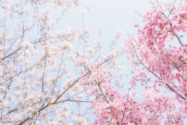 性の話をしたい時は「春画」と「かなまら祭」がおすすめ／BETSY