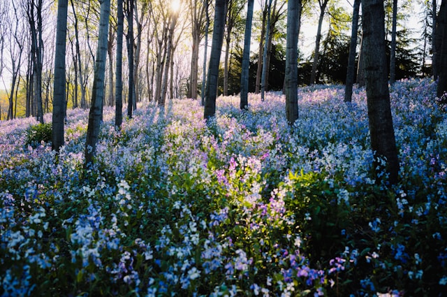 セックスの満足度が下がったのは相手じゃなく自分の変化かも／BETSY